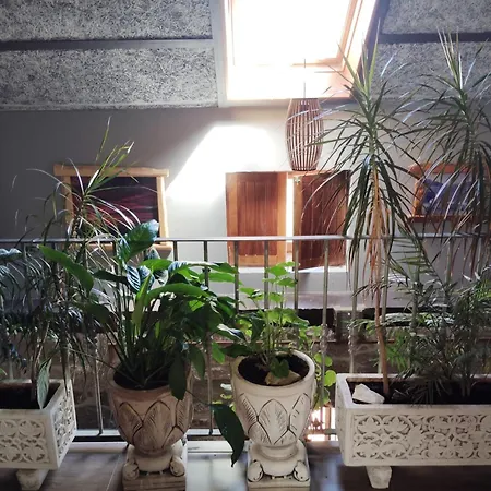 Feriehus Casa Vieito *